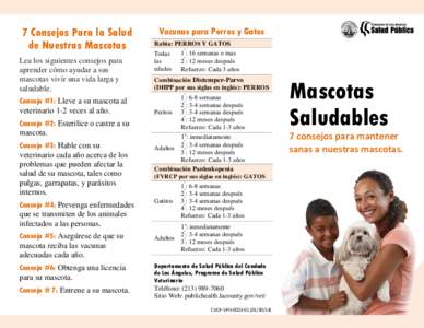 7 Consejos Para la Salud de Nuestras Mascotas Lea los siguientes consejos para aprender cómo ayudar a sus mascotas vivir una vida larga y saludable.