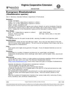 Evergreen Rhododendron (Rhododendron species) Alex X. Niemiera, Associate Professor, Department of Horticulture Summary: Foliage: Evergreen Height: 6 to 15 feet (depending on species or cultivar)