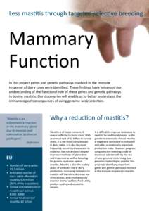 Less mastitis through targeted selective breeding  Mammary Function In this project genes and genetic pathways involved in the immune response of dairy cows were identified. These findings have enhanced our