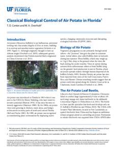 ENY-864  Classical Biological Control of Air Potato in Florida1 T. D. Center and W. A. Overholt2  Introduction