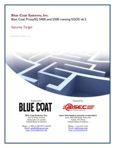 Blue Coat Systems, Inc. Blue Coat ProxySG S400 and S500 running SGOS v6.5 Security Target Document Version: 1.4  Prepared for: