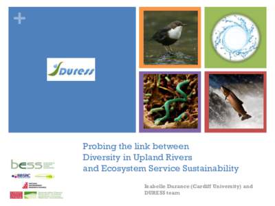 +  Probing the link between Diversity in Upland Rivers and Ecosystem Service Sustainability Isabelle Durance (Cardiff University) and