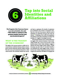 6  Tap into Social Identities and Affiliations