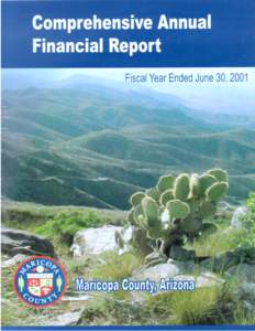 Comprehensive Annual Financial Report Maricopa County Phoenix, Arizona For The Fiscal Year July 1, 2000 to June 30, 2001