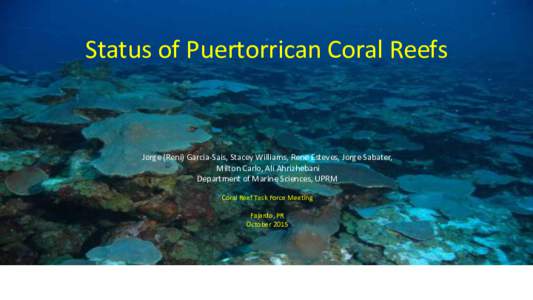 Coral reefs / Physical geography / Coral bleaching / Mesophotic coral reef / Oceanography / Water / Coral / Porites porites / Florida Reef