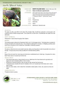 OTOROHANGA ZOOLOGICAL SOCIETY INC.	  SPECIES FACT SHEET NO.10 North Island Kaka