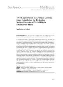 Ecology / Forest ecology / Birch / Silviculture / Scots Pine / Forest / Old-growth forest / Treefall gap / Temperate broadleaf and mixed forest / Environment / Forestry / Ornamental trees