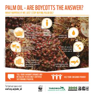 palm oil - ARE BOYCOTTS THE ANSWER? What happens if we just stop buying palm oil? Companies stop buying palm oil from producing countries