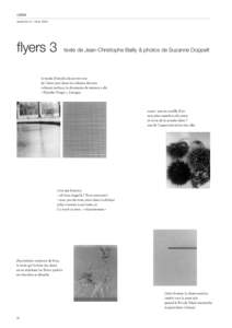 cahier vacarme 42 – hiver 2008 flyers 3  texte de Jean-Christophe Bailly & photos de Suzanne Doppelt