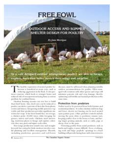 FREE FOWL OUTDOOR ACCESS AND SUMMER SHELTER DESIGN FOR POULTRY By Jane Morrigan  In a well designed outdoor arrangement, poultry are able to forage,