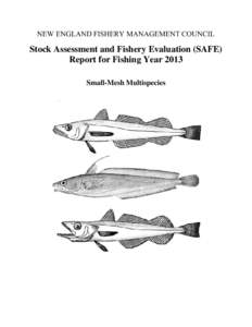 NEW ENGLAND FISHERY MANAGEMENT COUNCIL  Stock Assessment and Fishery Evaluation (SAFE) Report for Fishing Year 2013 Small-Mesh Multispecies