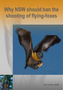 Why NSW should ban the shooting of flying-foxes November 2008  Title: