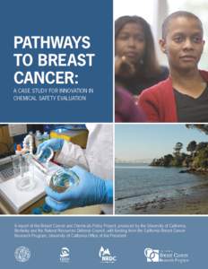 PATHWAYS TO BREAST CANCER: A CASE STUDY FOR INNOVATION IN CHEMICAL SAFETY EVALUATION