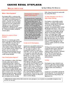 CANINE RENAL DYSPLASIA By: Ma ry H. W hi tel ey, P hD, DOGe nes I nc. What you n eed to kno w. What is Ren al Dysplasia? Renal dysplasia (RD) is a medical term that