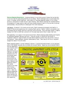 FACT SHEET PACIFIC LAMPREY (Lampetra tridentata) General Species Description: Lampreys belong to a primitive group of fishes that are eel-like in form but lack the jaws and paired fins of true fishes. Pacific lampreys ha