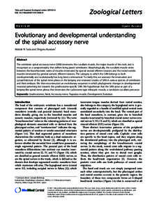 Evolutionary and developmental understanding of the spinal accessory nerve
