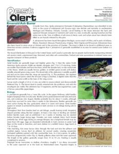 Emerald Ash Borer Pest Alert NA-PR-02-04, revised September 2008