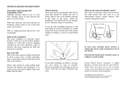 Testicular cancer / Testicular self-examination / Cryptorchidism / Testicle / Cancer / Royal Hobart Hospital / Andrology / Anatomy / Medicine