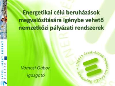 Energetikai célú beruházások megvalósítására igénybe vehető nemzetközi pályázati rendszerek Vámosi Gábor igazgató