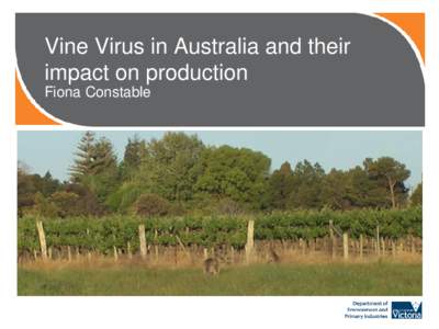 Vine Virus in Australia and their impact on production Fiona Constable This is a placeholder image. To replace either right clickand select “change picture” or insert a