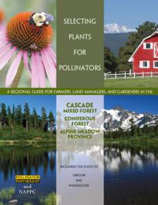 Insect ecology / Beekeeping / Symbiosis / Pollinators / Pollinator / Pollination syndrome / Bee / Nectar source / North American Pollinator Protection Campaign / Plant reproduction / Pollination / Biology