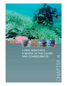 Coral / Acropora / Zooxanthella / Resilience of coral reefs / Fire coral / Ove Hoegh-Guldberg / Pocillopora / Algae / Environmental threats to the Great Barrier Reef / Coral reefs / Anthozoa / Coral bleaching