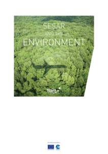 SESAR AND THE ENVIRONMENT  founding members