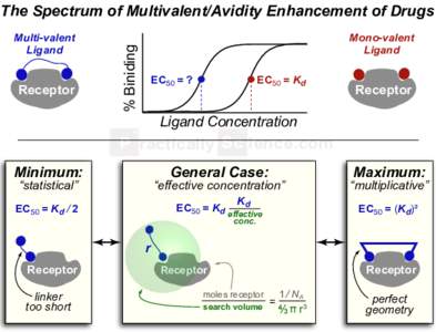 The Spectrum of Multivalent/Avidity Enhancement of Drugs  Receptor Mono-valent Ligand