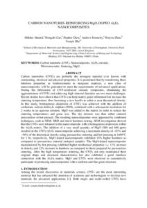 MgO Doped Carbon Nanotube-reinforced Al2O3 Nanocomposite