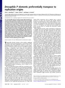 Drosophila P elements preferentially transpose to replication origins Allan C. Spradlinga,b,1, Hugo J. Bellena,c, and Roger A. Hoskinsd a Howard Hughes Medical Institute and bDepartment of Embryology, Carnegie Institutio
