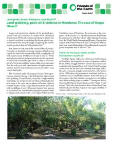 Issue brief  Land grabs, forests & finance: Issue brief #7 Land grabbing, palm oil & violence in Honduras: The case of Grupo Dinant1