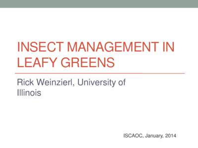 INSECT MANAGEMENT IN LEAFY GREENS Rick Weinzierl, University of Illinois  ISCAOC, January, 2014