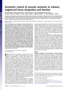 Geometric control of vascular networks to enhance engineered tissue integration and function Jan D. Baranskia,1, Ritika R. Chaturvedia,1, Kelly R. Stevensb,1, Jeroen Eyckmansa, Brian Carvalhob, Ricardo D. Solorzanoa, Mic