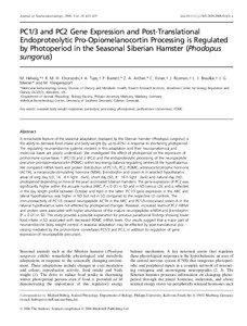 Peptide hormones / Neuropeptides / Neuroendocrinology / Neurotransmitters / Molecular biology / Proopiomelanocortin / Proprotein convertase 2 / Proprotein convertase / Beta-endorphin / Biology / Biochemistry / Chemistry