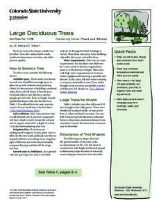 Large Deciduous Trees Fact Sheet No.	[removed]Gardening Series| Trees and Shrubs  by J.E. Klett and C. Wilson*