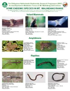 fauna_endemic amphibians and reptiles.pmd