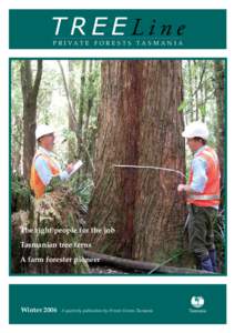 Environment / Dicksonia antarctica / Flora of New South Wales / Flora of Tasmania / Dicksonia / Hobart / Cyatheales / Forestry / Sustainable forest management / Dicksoniaceae / Geography of Tasmania / Botany