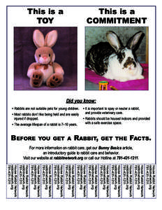 Did you know:  The average lifespan of a rabbit is 7–10 years. l  FACTS.