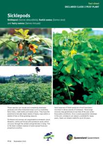 Fact sheet DECLARED CLASS 2 PEST PLANT Sicklepods  Sicklepod (Senna obtusifolia), foetid senna (Senna tora)