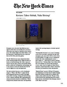 Review: Tabor Robak, ‘Fake Shrimp’  Tabor Robak’s installation “Butterfly Room” has 100 LCD monitors with its own loop of colorful, ever-changing images. Credit Team Gallery  If memory serves, the artist John B