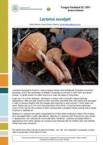 Fungus Factsheet[removed]Science Division Lactarius eucalypti Richard Robinson, Science Division, Manjimup, [removed]