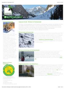 Newsletter #7, NovemberKarwendel Bewohner, 18:20