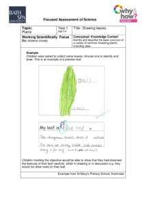 Focused Assessment of Science Topic: Year 1 Age 5-6 Plants Working Scientifically Focus