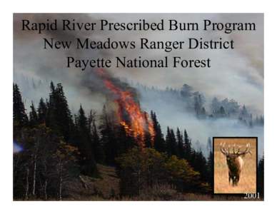 Rapid River Prescribed Burn Program New Meadows Ranger District Payette National Forest 2001