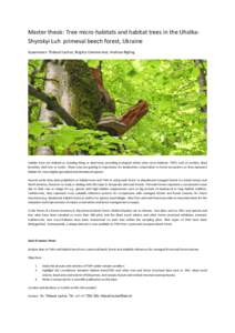 Master thesis: Tree micro-habitats and habitat trees in the UholkaShyrokyi Luh primeval beech forest, Ukraine Supervisors: Thibault Lachat, Brigitte Commarmot, Andreas Rigling Habitat trees are defined as standing living