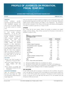 Microsoft Word - 554_Fy12_ProbationProfile.docx