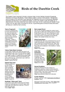 Birds of the Darebin Creek The Darebin Creek Catchment contains a diverse range of avian habitats including Grasslands, Wetlands and Grassy Woodlands. These habitats support a variety of bird species. Revegetation works 