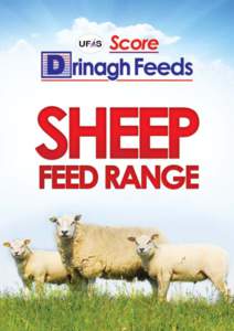 Introduction  Sheep play an important economic role on many farms in West Cork. Drinagh Co-operative has a long history of supplying a quality range of feed for ewes (pre and post lambing) and for young and finishing la