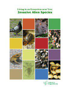 Living in an Ecosystem near You:  Invasive Alien Species