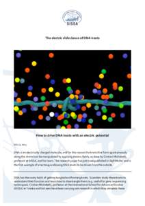 The	
  electric	
  slide	
  dance	
  of	
  DNA	
  knots	
    	
      	
  